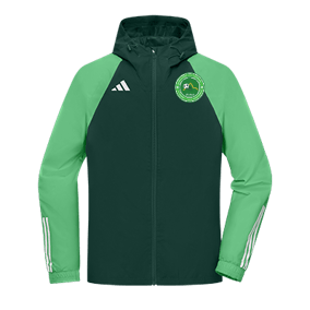 adidas Tiro 23 Competition all-weather jacket  green
